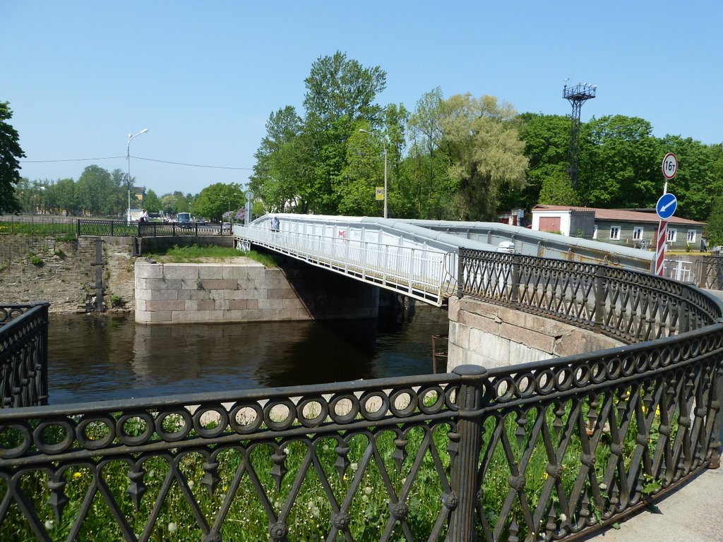 Петровский док, мост